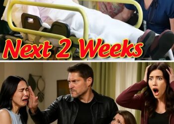B&B Spoilers Next 2 Weeks (October 13 to 24) – The Bold and the Beautiful Spoilers…