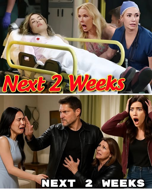 B&B Spoilers Next 2 Weeks (October 13 to 24) – The Bold and the Beautiful Spoilers…